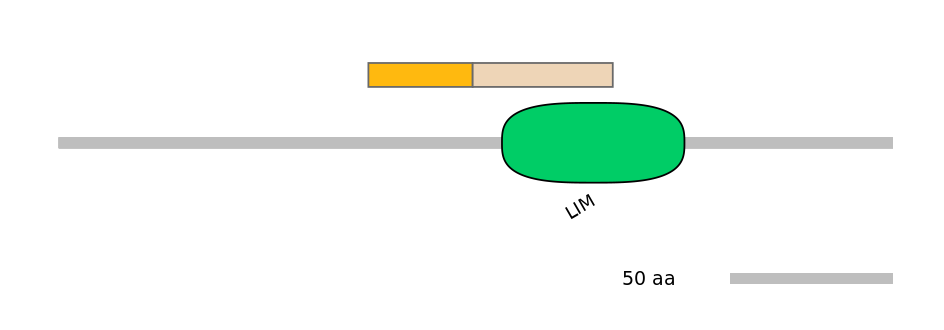 DreEX0085634-EXC