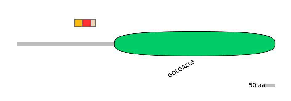 DreEX6008905-INC
