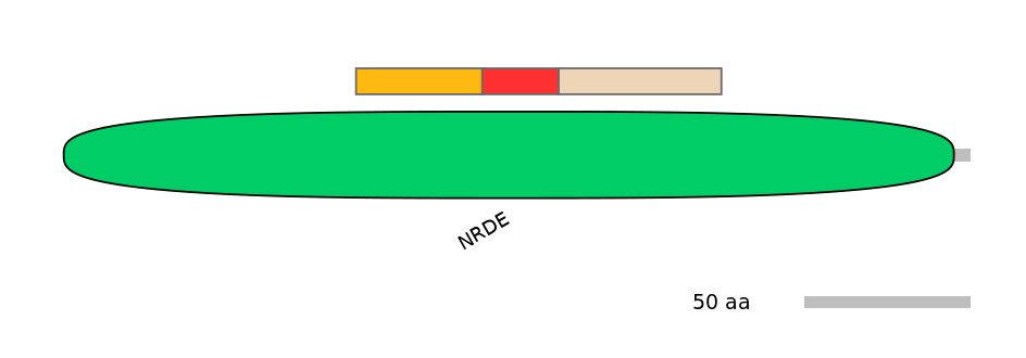 DreEX6010958-INC