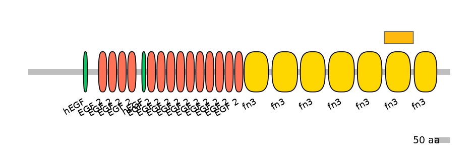 DreEX6011164-EXC