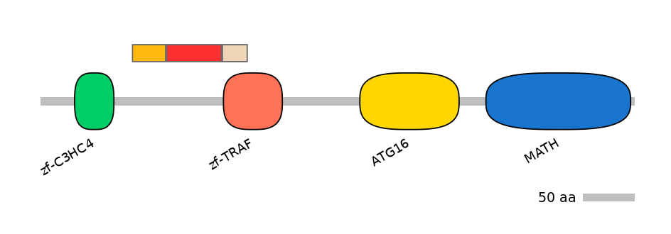 DreEX6011172-INC