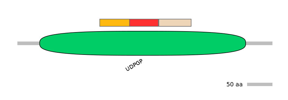 DreEX6011626-INC