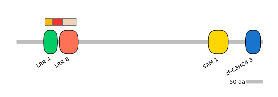 DreEX6011785-INC