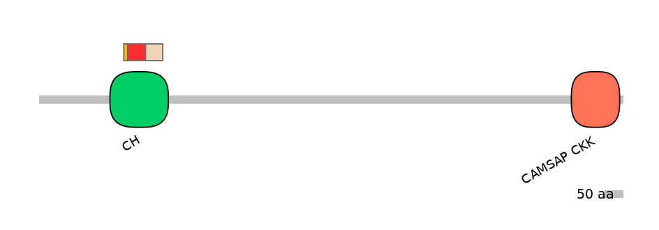 DreEX6014316-INC