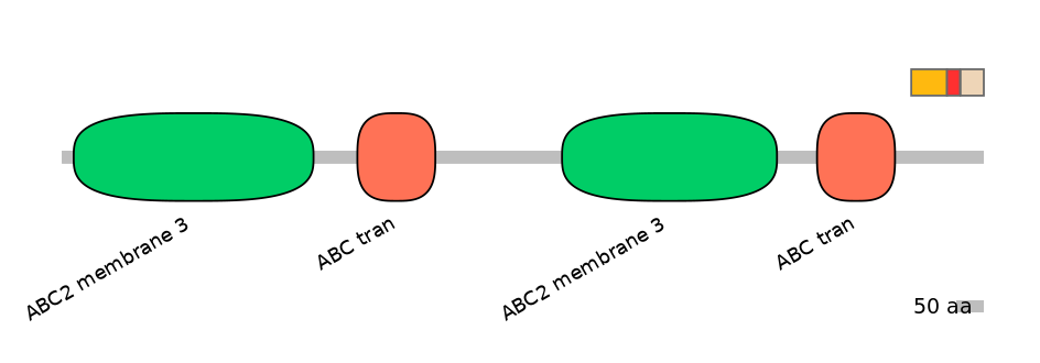 DreEX6015414-INC