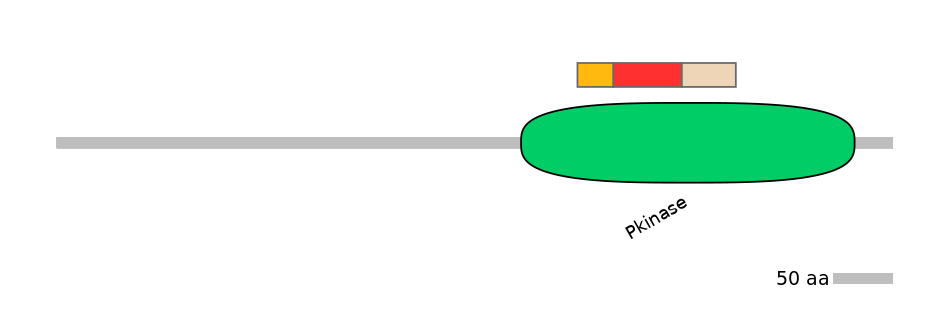 DreEX6016088-INC
