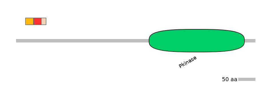 DreEX6016095-INC