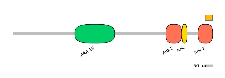 DreEX6016281-EXC