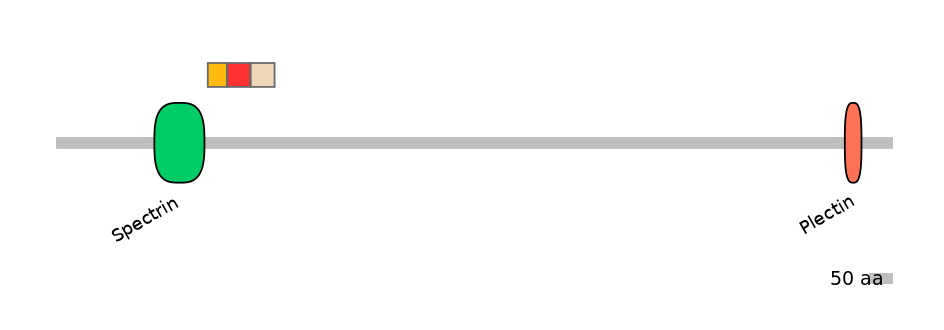 DreEX6017810-INC