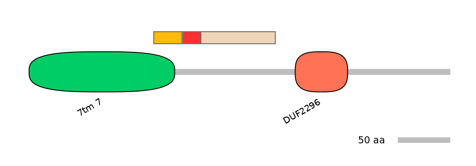 DreEX6020736-INC