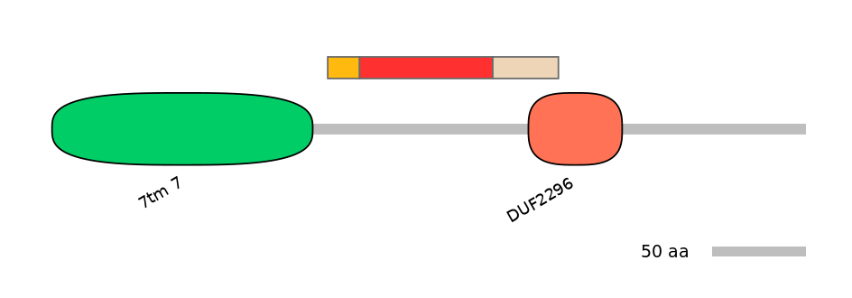 DreEX6020737-INC