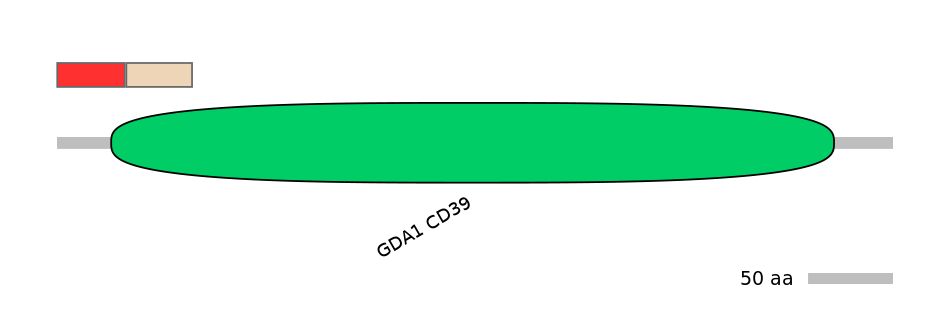 DreEX6023577-INC