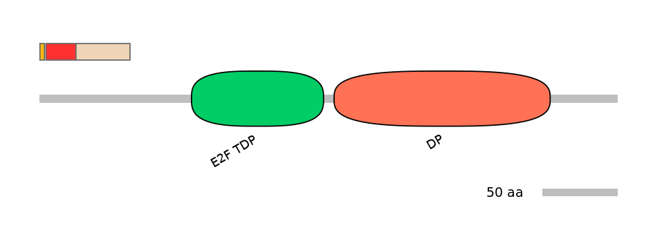 DreEX6029763-INC