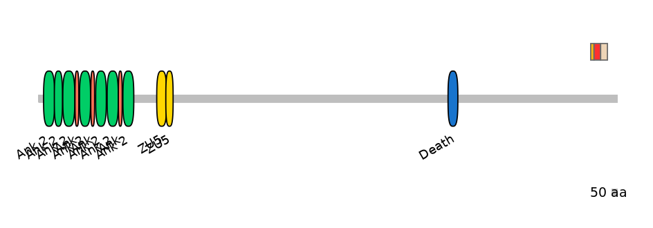 DreEX6030692-INC