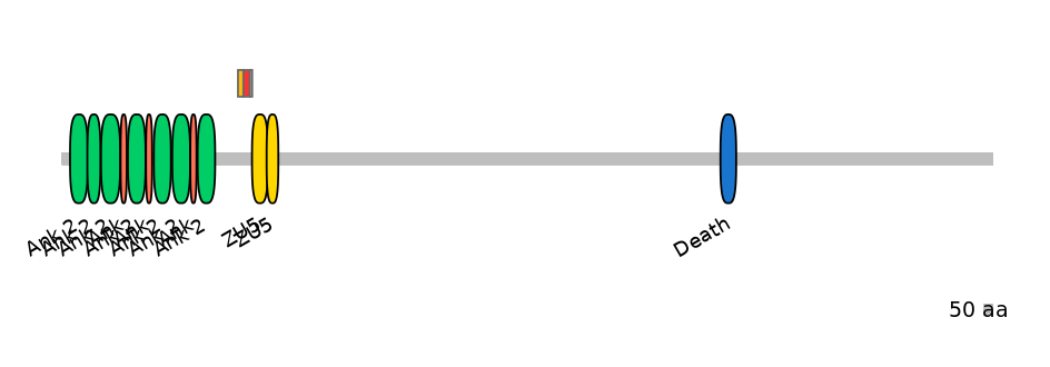 DreEX6030706-INC