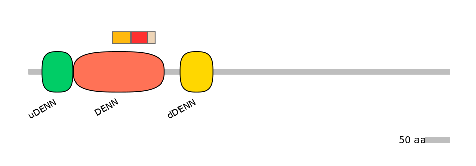 DreEX6034117-INC