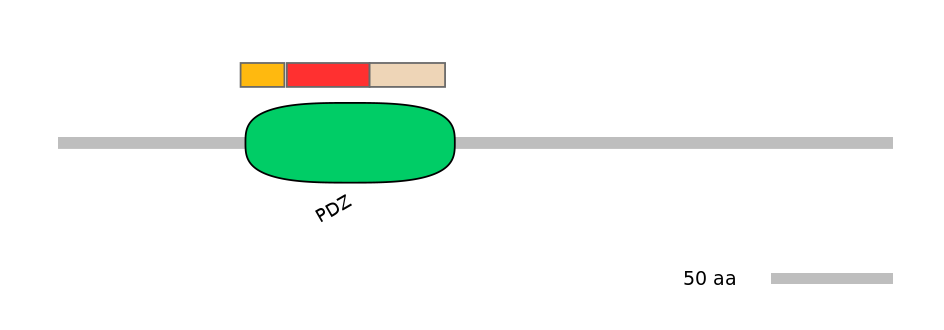 DreEX6034968-INC
