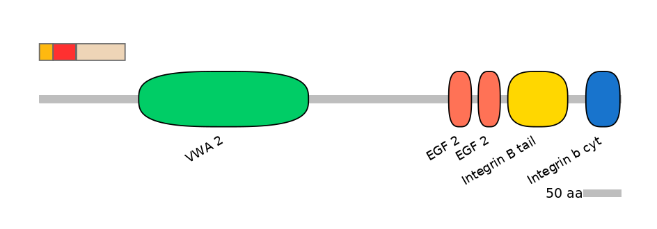DreEX6038407-INC