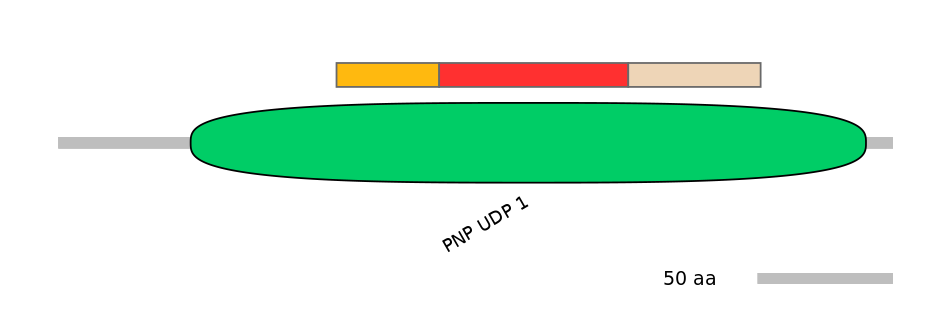 DreEX6040089-INC