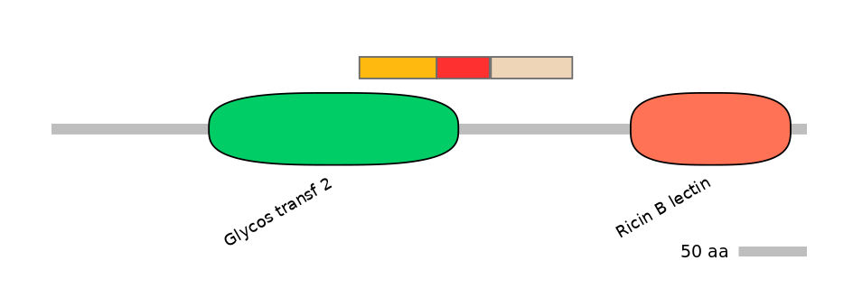 DreEX6041126-INC