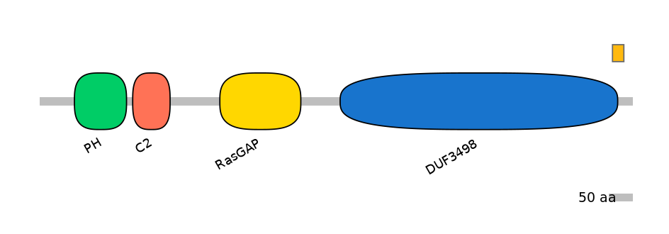 DreEX6042706-EXC