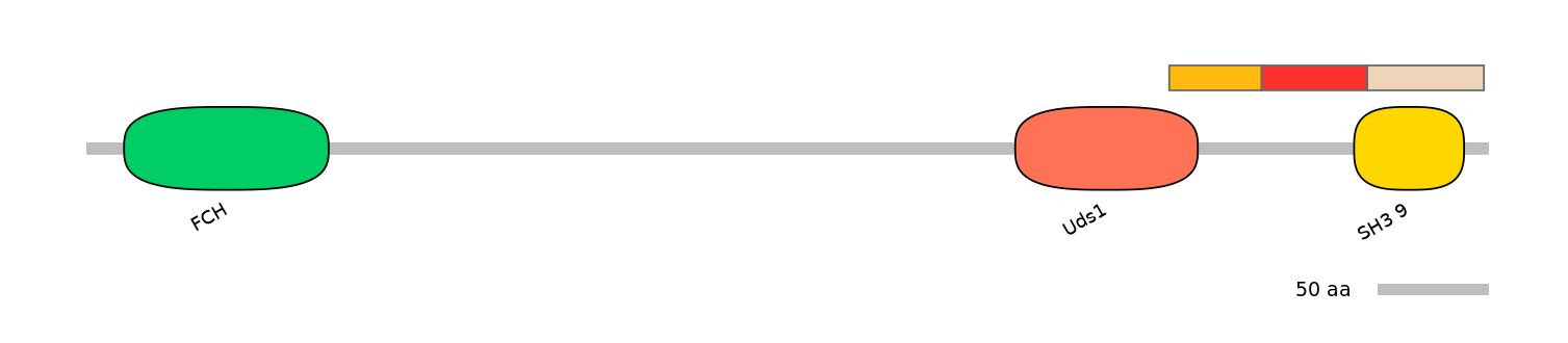 DreEX6048527-INC