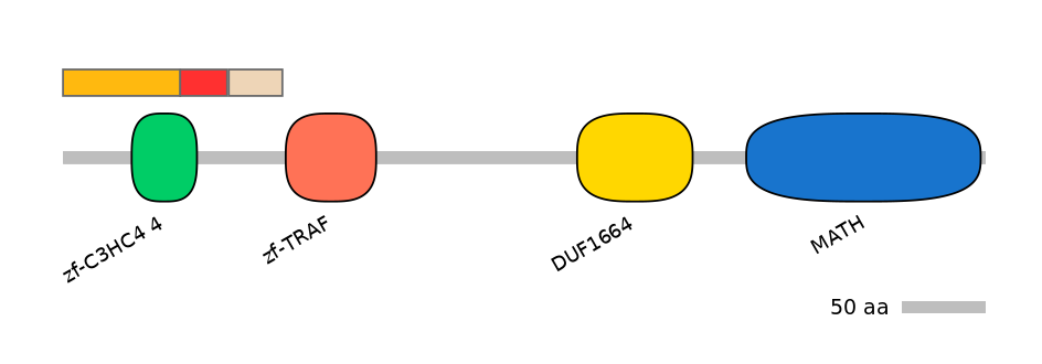 DreEX6048585-INC