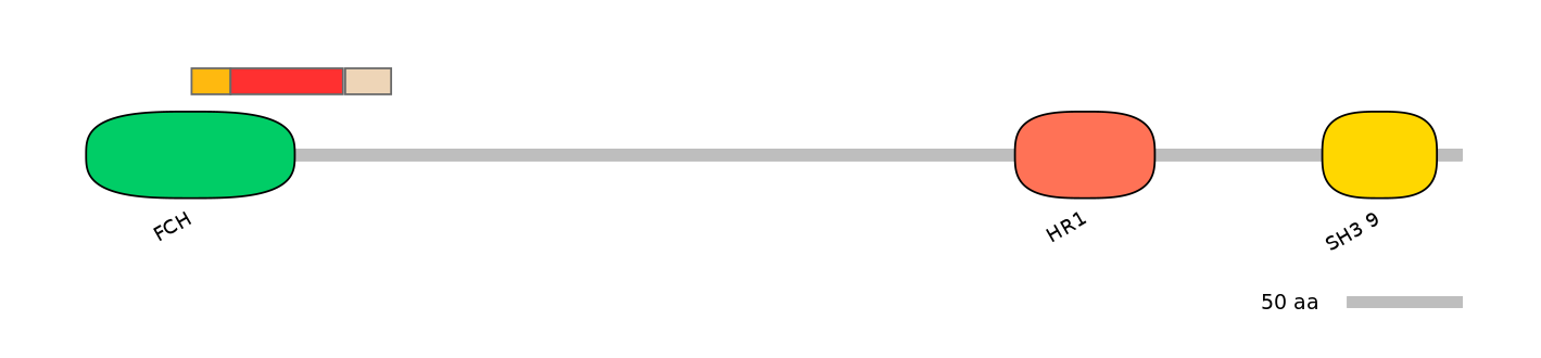 DreEX6048931-INC