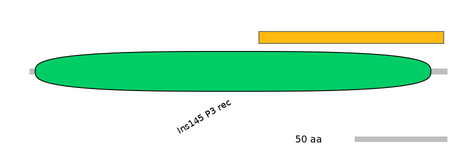 DreEX6049585-EXC