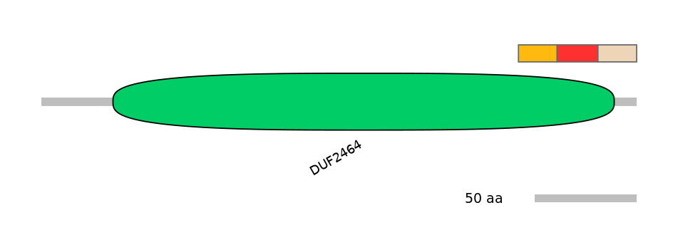 DreEX6050765-INC