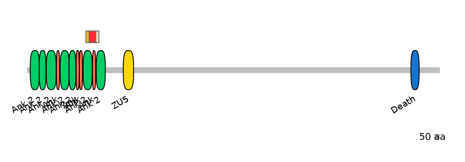 DreEX6053832-INC