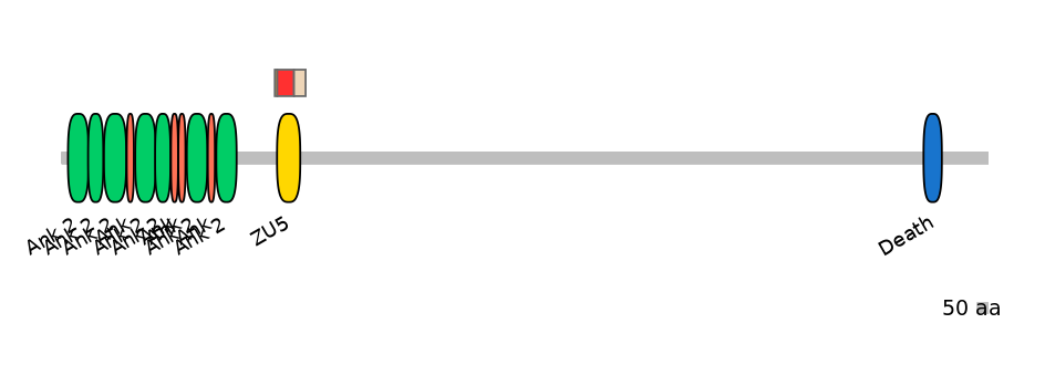 DreEX6053838-INC