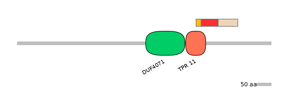 DreEX6054079-INC