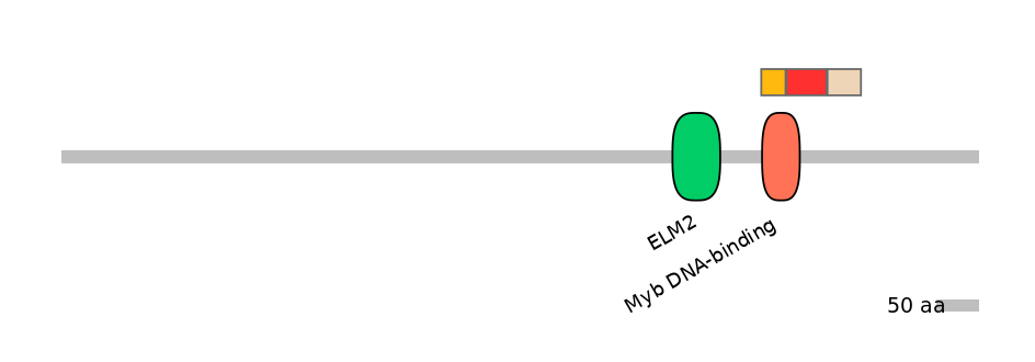 DreEX6055560-INC