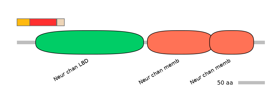 DreEX6066458-INC