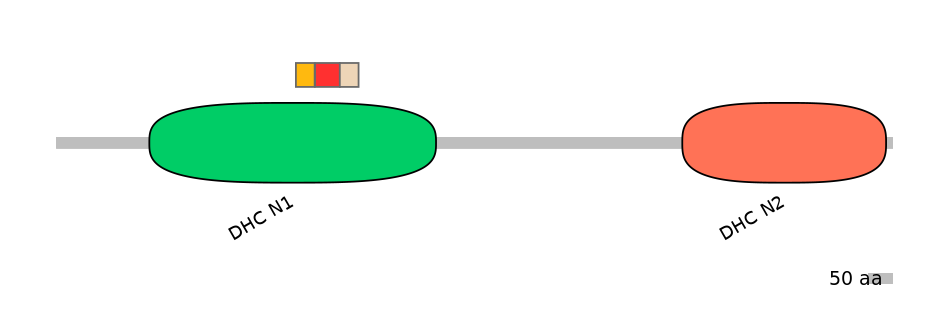 DreEX6067089-INC