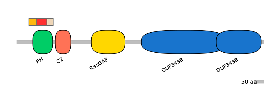 DreEX6071218-INC