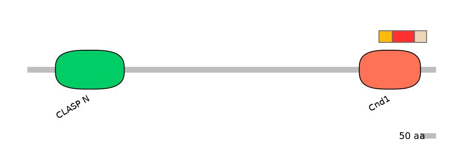 DreEX6074229-INC