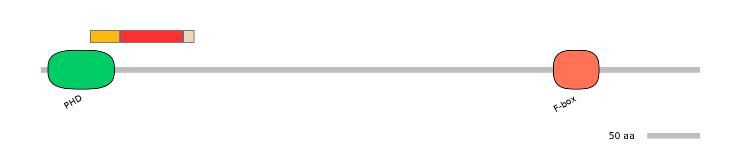 DreEX6074537-INC