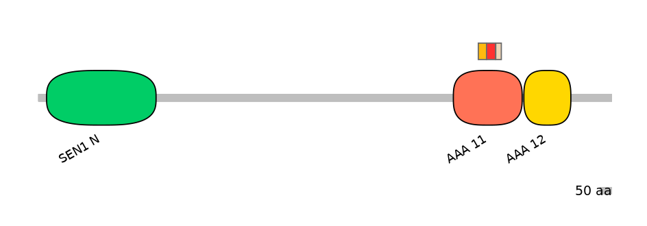 DreEX6082824-INC