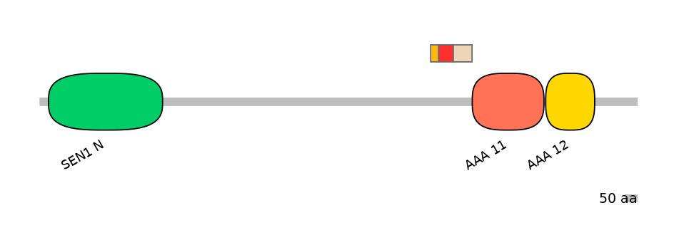 DreEX6082827-INC