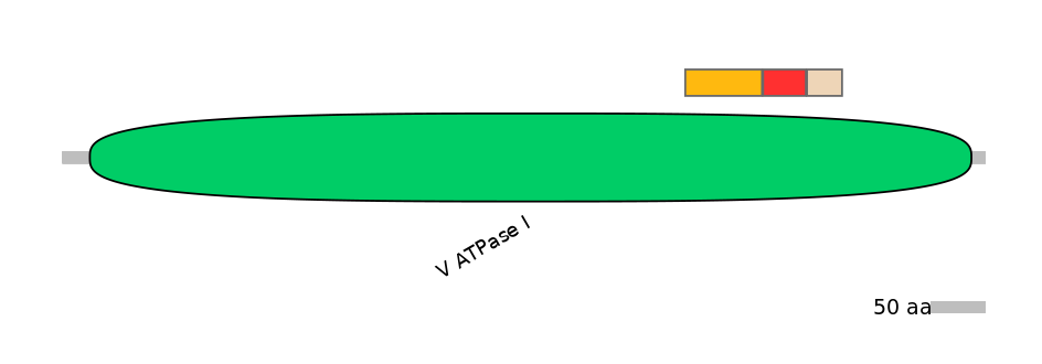 DreEX6087062-INC