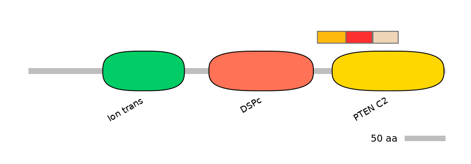 DreEX6088154-INC