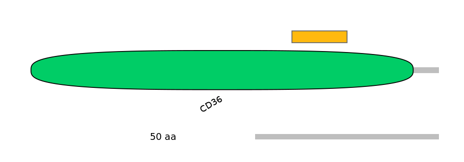DreEX6089852-EXC