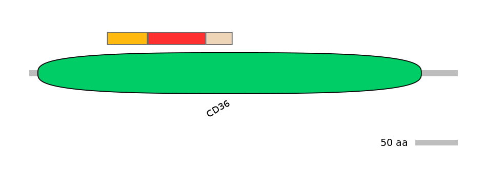 DreEX6089852-INC