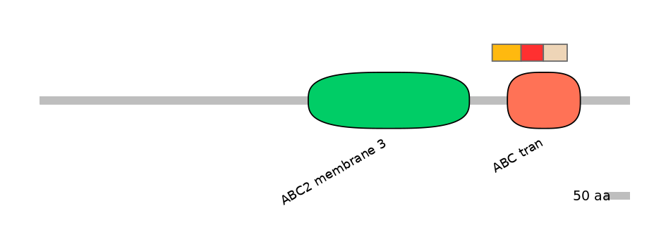 DreEX6090531-INC