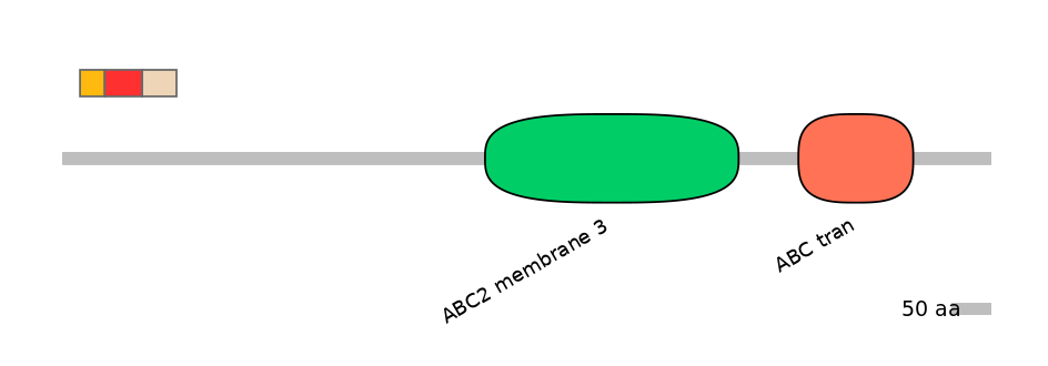 DreEX6090542-INC