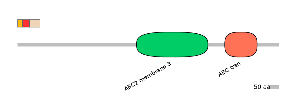 DreEX6090543-INC