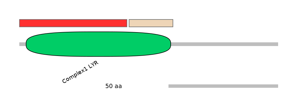 DreEX6096526-INC