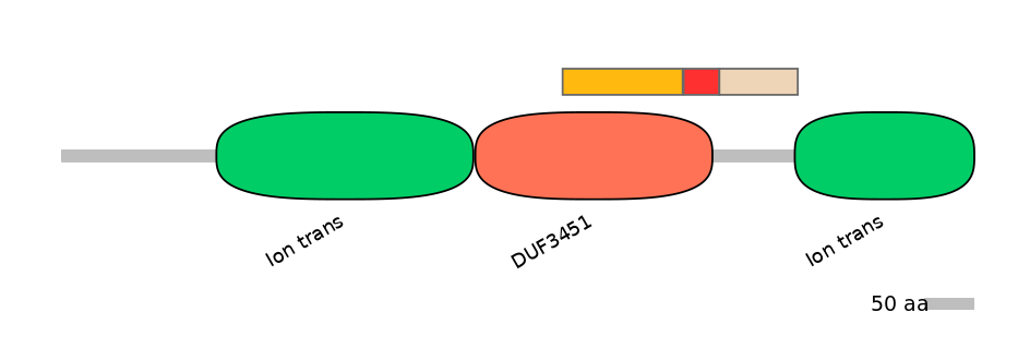 DreEX6096639-INC